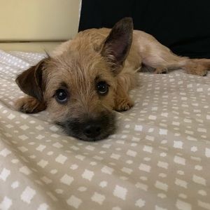 Meet your Posher, Houston